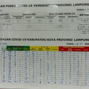 Update Kasus Covid-19 Lampung 23 Juni 2020: PDP bertambah 19 orang, Positif Covid-19 Nihil