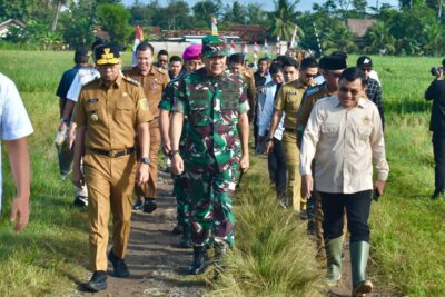 Danrem 043/Gatam Bersama Gubernur dan Forkopimda Provinsi Lampung Hadiri Panen Raya