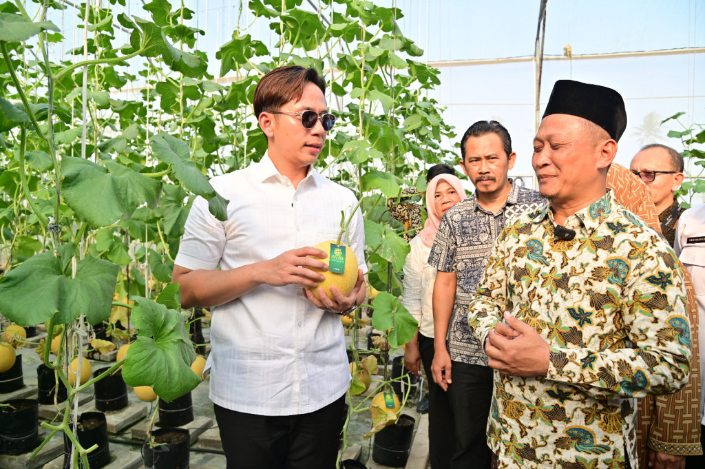 Egi Lakukan Panen Melon Sultan di Ponpes Istiqomah Al-Amin Lampung Selatan