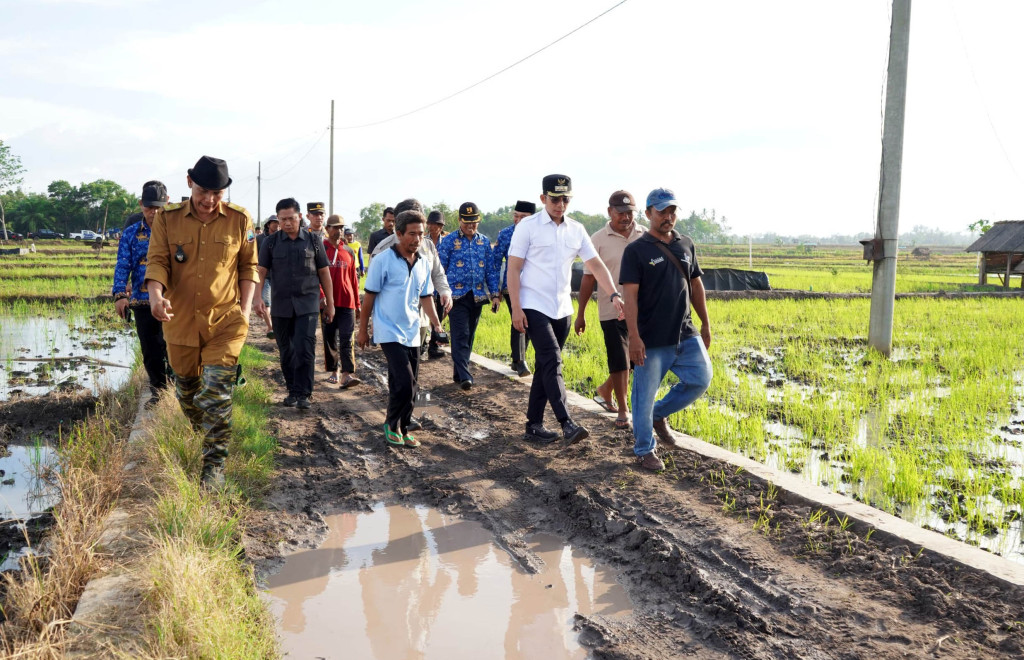Bupati Egi Turun ke Sawah, Janji Tuntaskan Jalan Tani yang Terbengkalai Puluhan Tahun