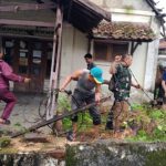 Sigap di Tengah Badai: Babinsa Kodim 0410/KBL Bergerak Cepat Tangani Dampak Cuaca Ekstrem di Bandar Lampung