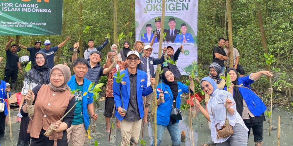 PKC PMII Lampung dan Cabang Se-Lampung Tanam 5.000 Bibit Mangrove di Pematang Pasir: Implementasi Tri Hablum dalam Aksi Nyata Lingkungan