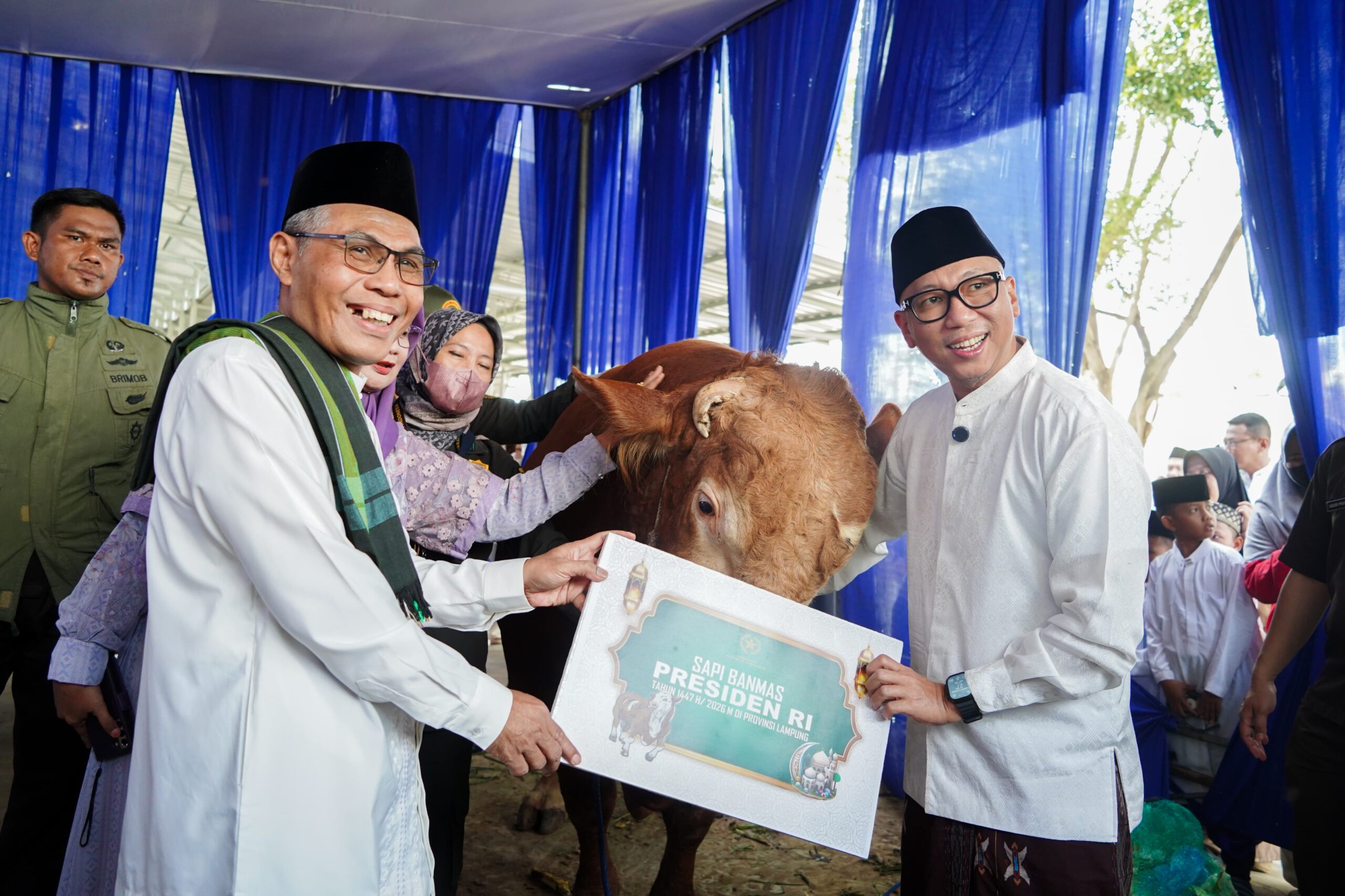 Iduladha 1447 H, Gubernur Lampung Ajak Masyarakat Perkuat Semangat Pengorbanan dan Gotong Royong